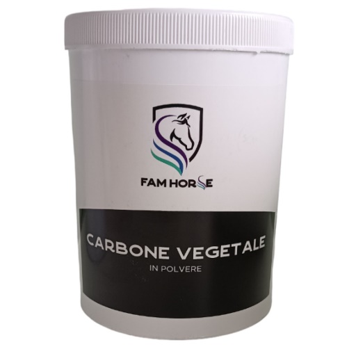 Carbone vegetale in polvere